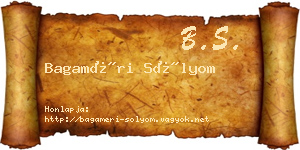 Bagaméri Sólyom névjegykártya